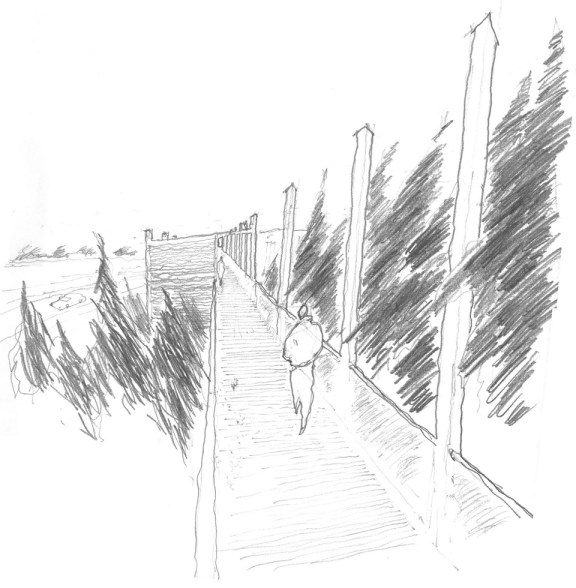 2555649787_b3ccc5fede_b